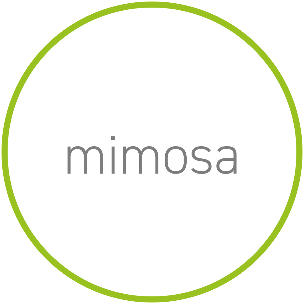 mimosa thumbnail