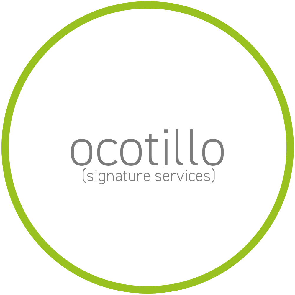 ocotillo thumbnail